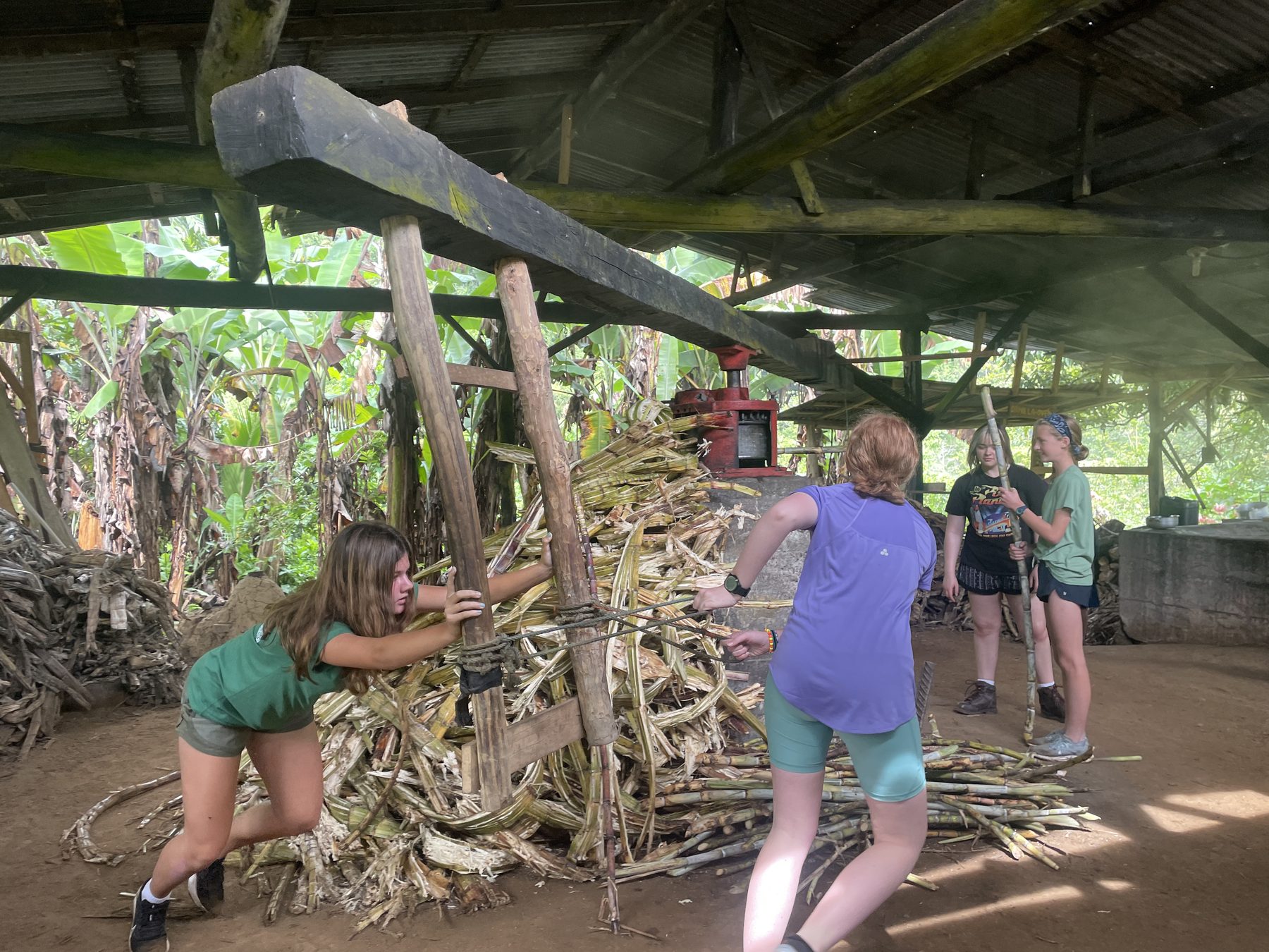 Students operating a traditional sugarcane press in Costa Rica