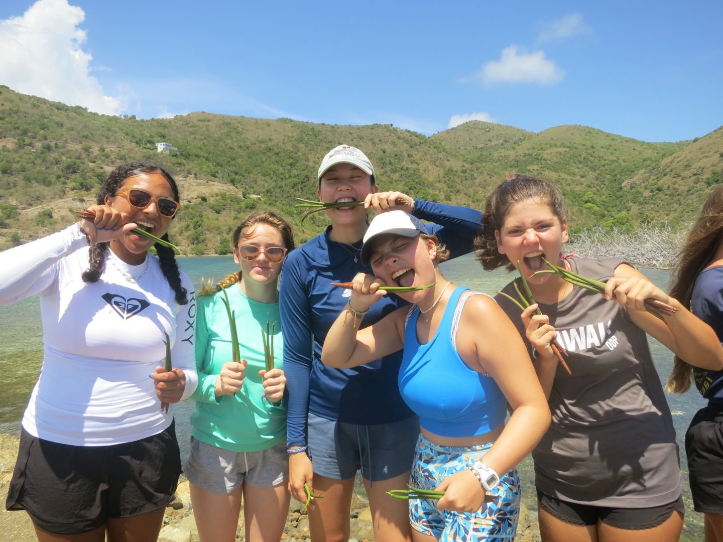 Stella and classmates holding mangrove seedlings on a British Virgin Islands shoreline