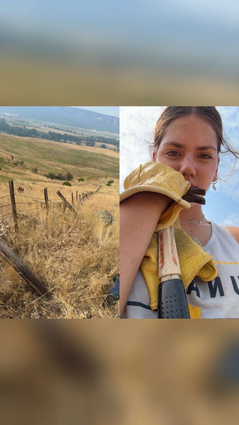 Stella holding a hammer beside Wallowa County pastureland