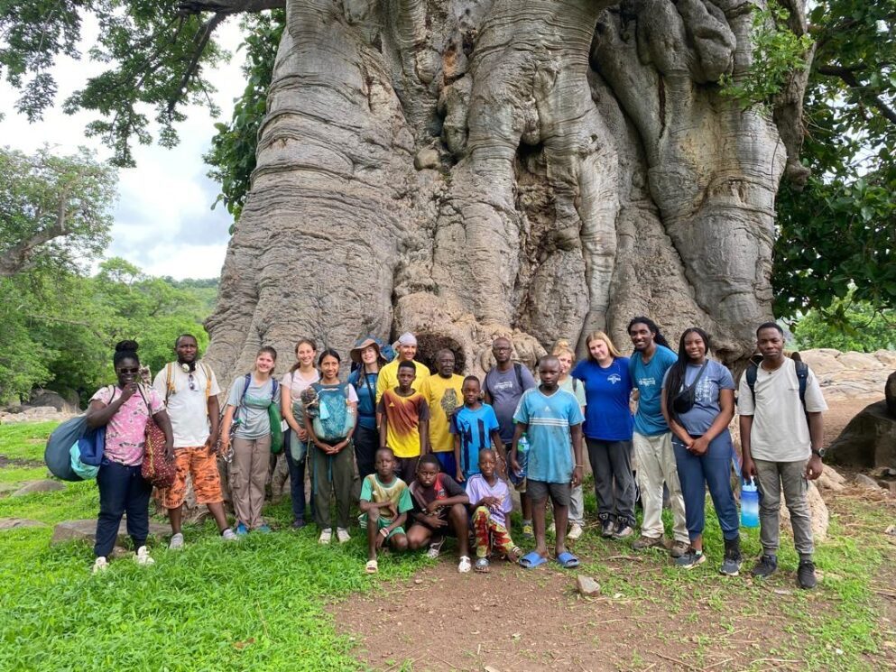 Large group photo with Senegalese hosts and students in front of a baobab tree